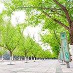西京网讯